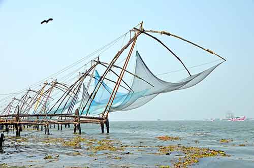 chinese fishing-AsiaPhotoStock