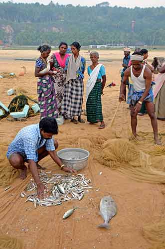 chowara catch-AsiaPhotoStock