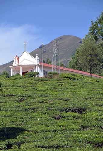 church tea-AsiaPhotoStock