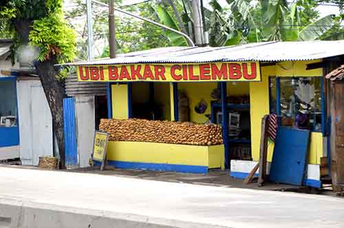 cilembu-AsiaPhotoStock