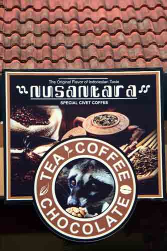 civet coffee-AsiaPhotoStock