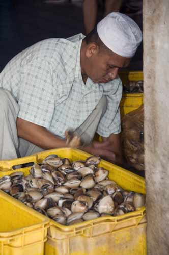 clams-AsiaPhotoStock