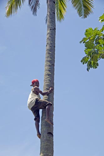 climber-AsiaPhotoStock