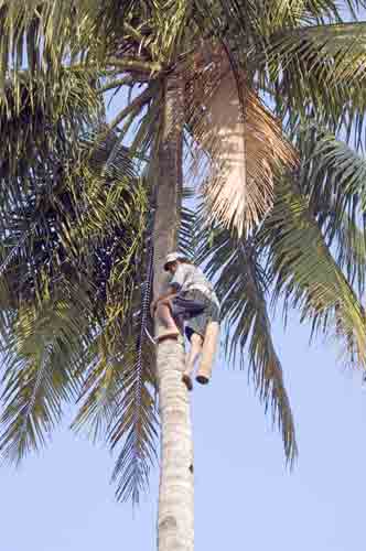 climber borobudur-AsiaPhotoStock