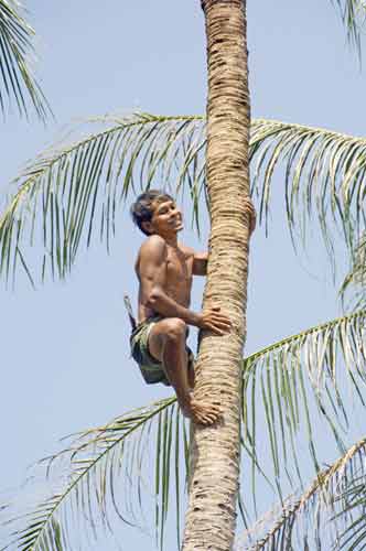 thai climber-AsiaPhotoStock