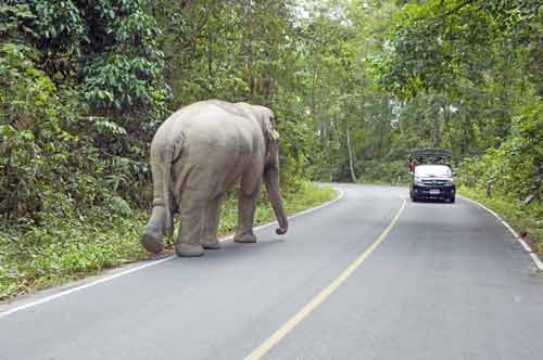 close encounter-AsiaPhotoStock