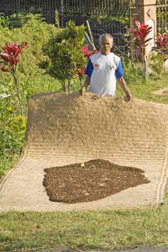 clove mats-AsiaPhotoStock