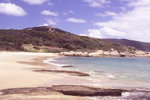 coastline south coast-AsiaPhotoStock