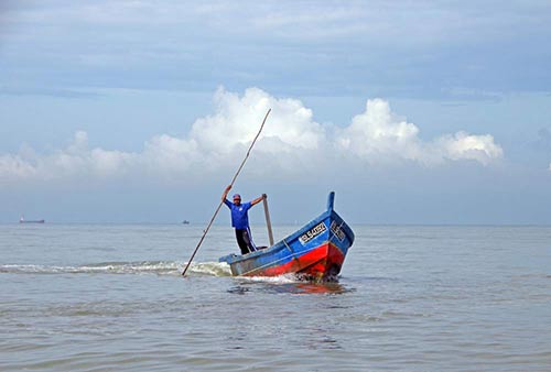 cockle trawling-AsiaPhotoStock