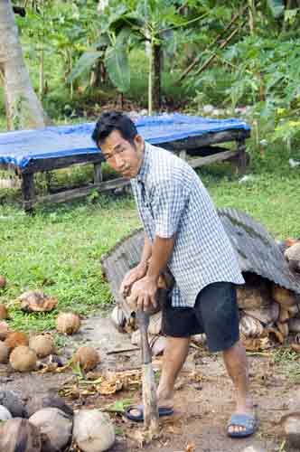 coconut shelling-AsiaPhotoStock