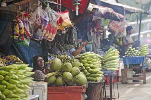 coconuts and corn-AsiaPhotoStock