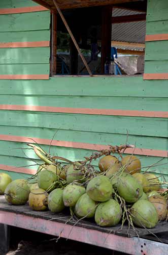 coconuts hut-AsiaPhotoStock