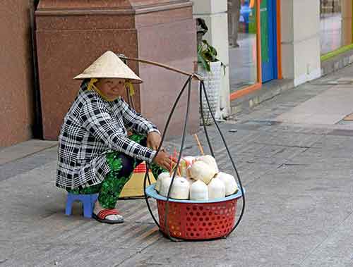 coconuts hcmc-AsiaPhotoStock