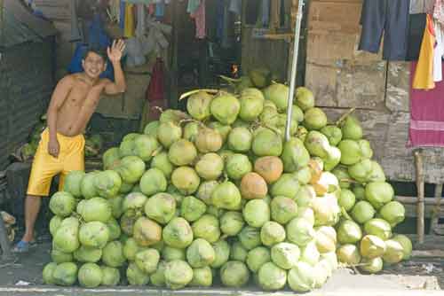 tagatay coconut stall-AsiaPhotoStock