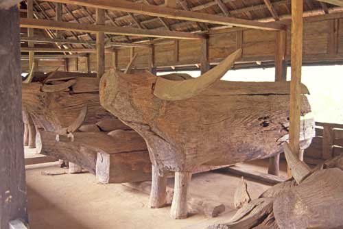 wooden cow coffin-AsiaPhotoStock