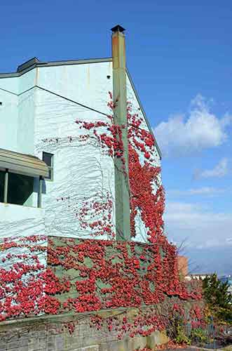 house in motomachi-AsiaPhotoStock