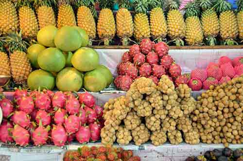 colourful fruit-AsiaPhotoStock