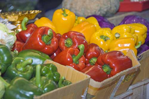 colourful peppers-AsiaPhotoStock