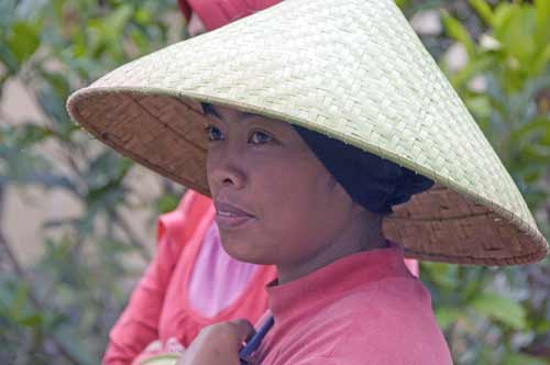 conical hat-AsiaPhotoStock