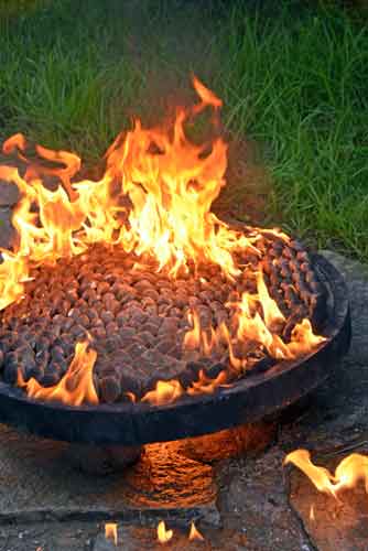 cooking clams-AsiaPhotoStock