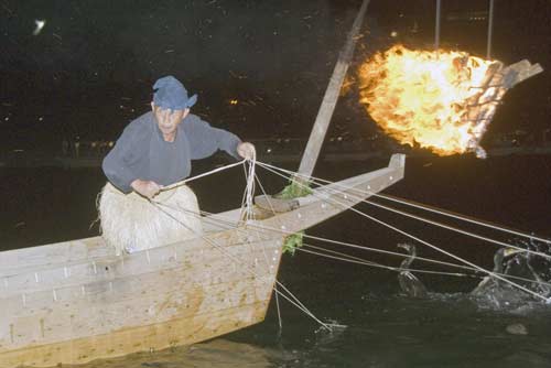 cormorant fishing-AsiaPhotoStock