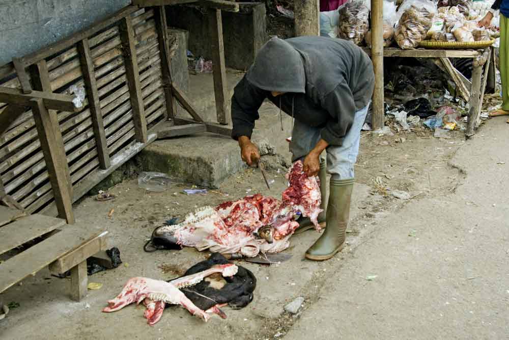 cow butchered-AsiaPhotoStock