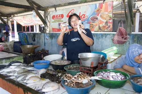 crabs java-AsiaPhotoStock