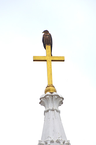 cross kite-AsiaPhotoStock