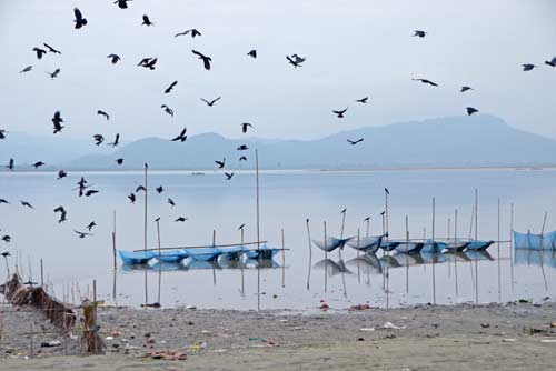 crows on fishing nets-AsiaPhotoStock