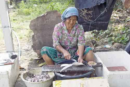 cutting fish-AsiaPhotoStock