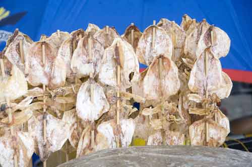 dried cuttlefish-AsiaPhotoStock
