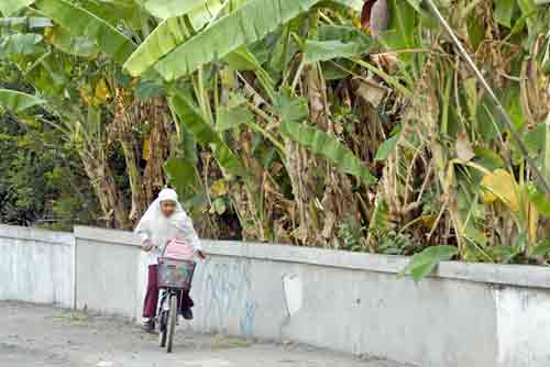 cycling hard-AsiaPhotoStock