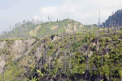 merapi damage-AsiaPhotoStock