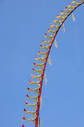 decoration in bali-AsiaPhotoStock