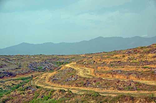 deforestation-AsiaPhotoStock