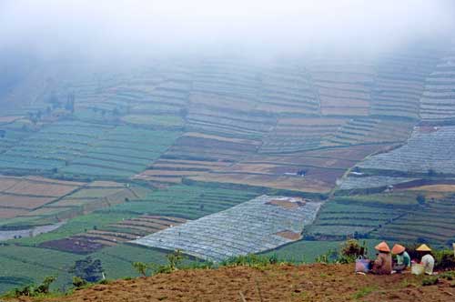 dieng clouds-AsiaPhotoStock