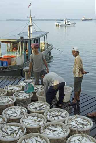 fish docks-AsiaPhotoStock