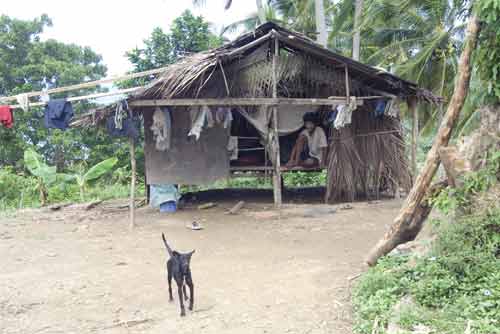 dog at mangyan house-AsiaPhotoStock