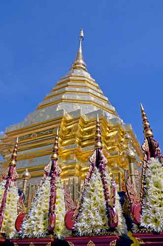 doi suthep flowers-AsiaPhotoStock