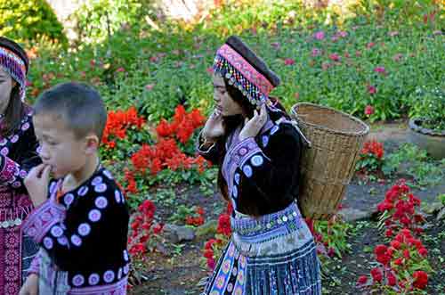 doi pui-AsiaPhotoStock