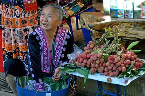 doi pui market-AsiaPhotoStock