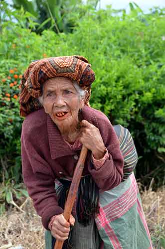 dokan elder-AsiaPhotoStock