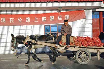 cart with pomegranates-AsiaPhotoStock