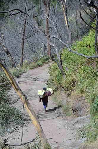 down ijen-AsiaPhotoStock