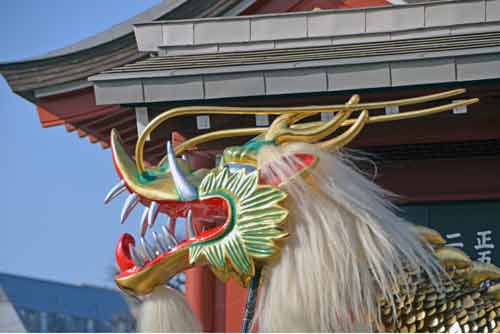 dragon dance-AsiaPhotoStock