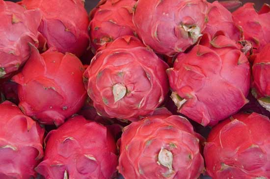 dragon fruit-AsiaPhotoStock