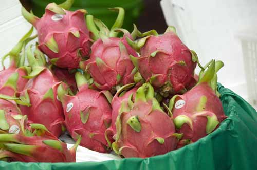 dragon fruit at market-AsiaPhotoStock