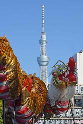 dragon skytree-AsiaPhotoStock