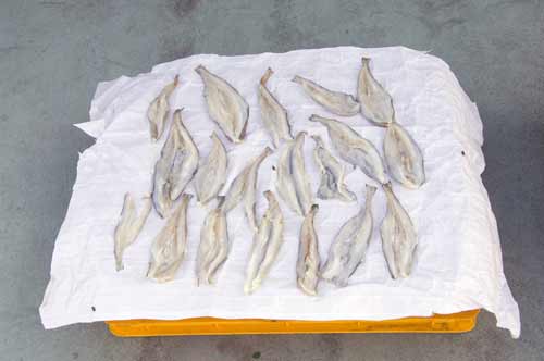 dried fish kukup town-AsiaPhotoStock