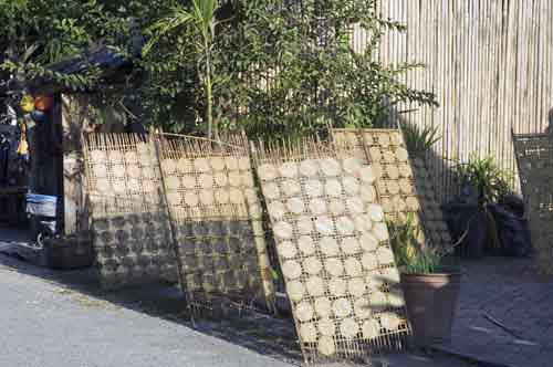 drying rice-AsiaPhotoStock